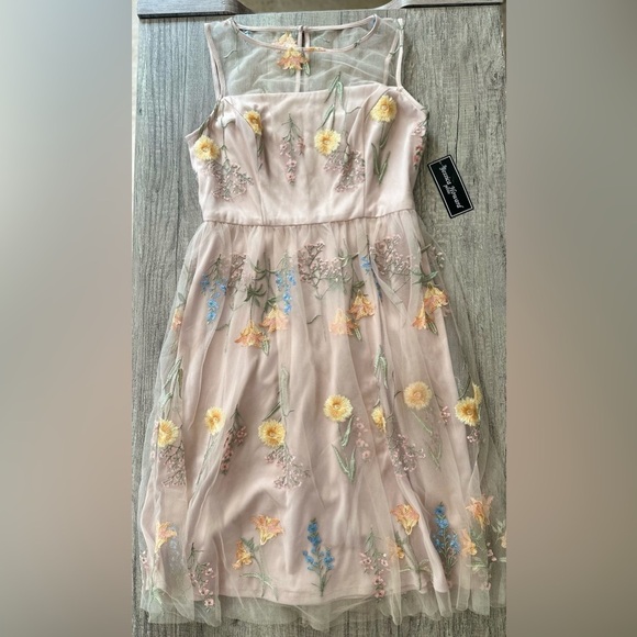 Jessica Howard Petites Pink Lacey Floral Sleeveless Dress Size 4P Formal Dress - Picture 1 of 11